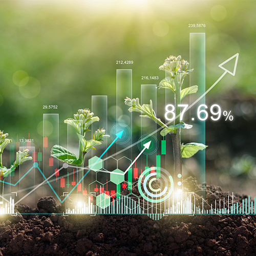 Voluntary carbon market- Argalicarbon